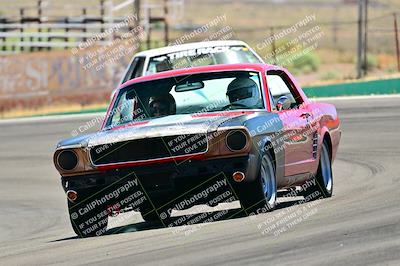 media/May-11-2025-Cobra Club (Sun) [[44ca44ec33]]/Passenger/